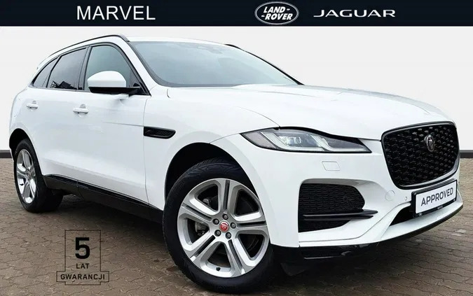 samochody osobowe Jaguar F-Pace cena 266500 przebieg: 16785, rok produkcji 2022 z Chociwel